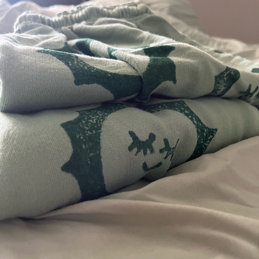Big Bud Press Sweatshort Set in Jade